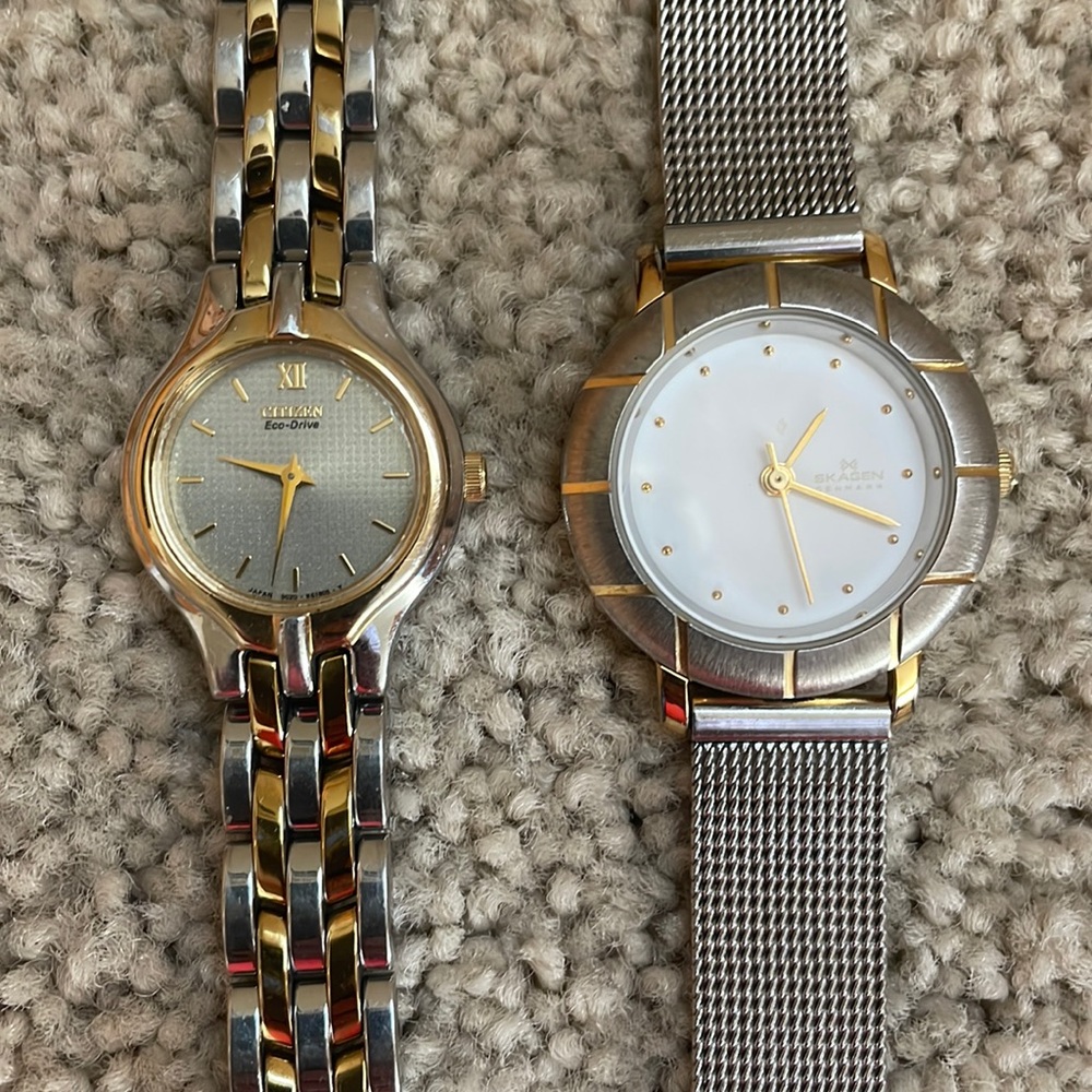 Two Women’s Watches - Citizen and Skagen